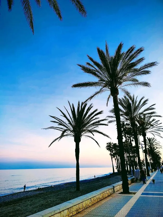 Apartments 4814 З Bedrooms San Pedro Marbella